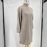 Turtleneck Slim Mini Dress