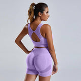 2pcs Yoga Set Women's Vest And Shorts Tracksuit Seamless Workout Sportswear Gym Clothing High Waist Leggings Fitness Sports Suits-Purple-6