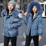 Large Fur Collar Thick Padded Jacket Down Women Short Slim-Blue-1